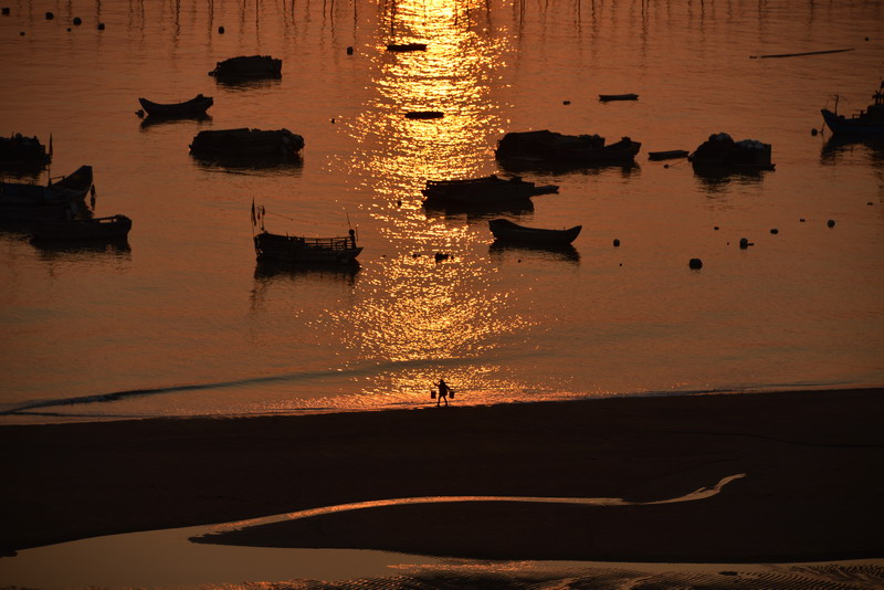 dsc_5351.jpg
