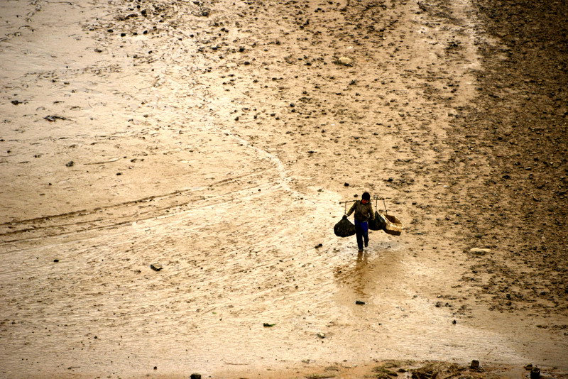 dsc_5555.jpg