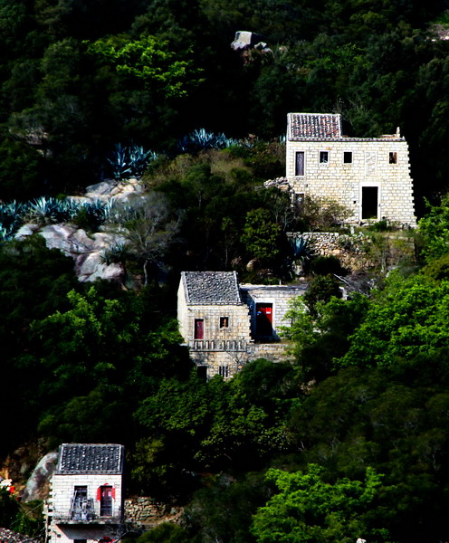 img_9665_缩小大小.jpg