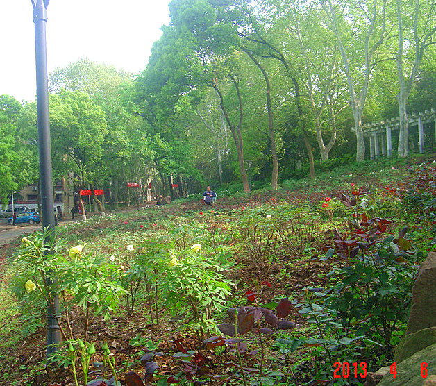 dsc02094__.jpg