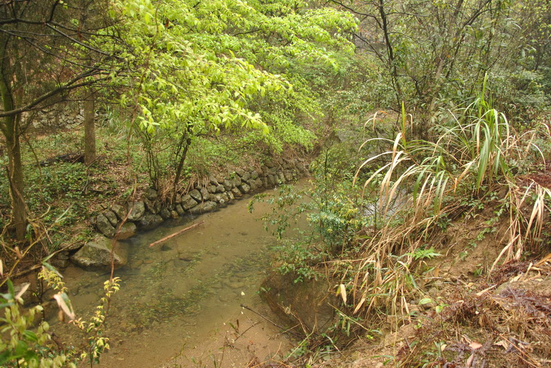 dsc_0075.jpg