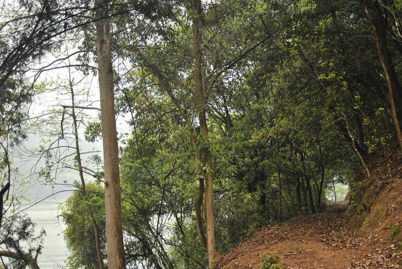 dsc_0078.jpg