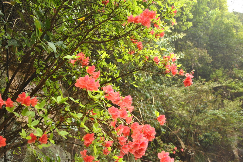 dsc_0089.jpg
