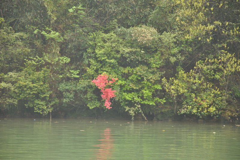dsc_0068.jpg