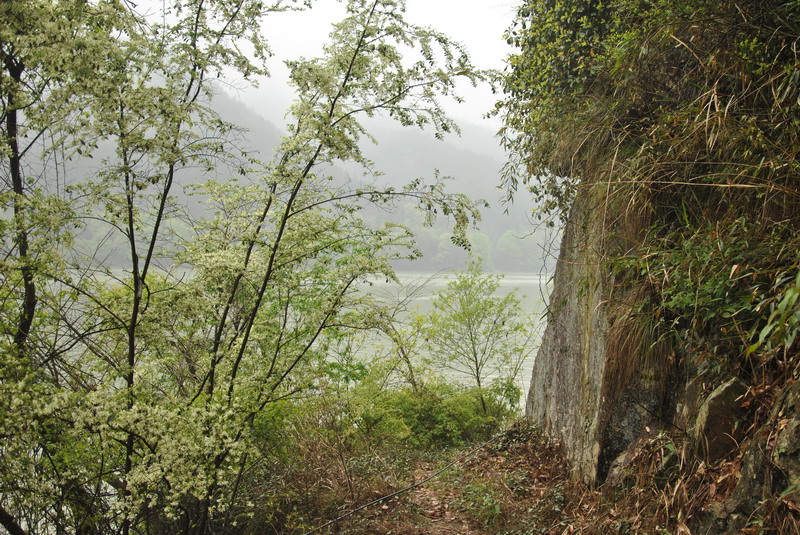dsc_0090.jpg
