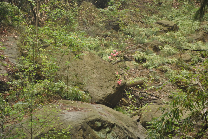 dsc_0095.jpg