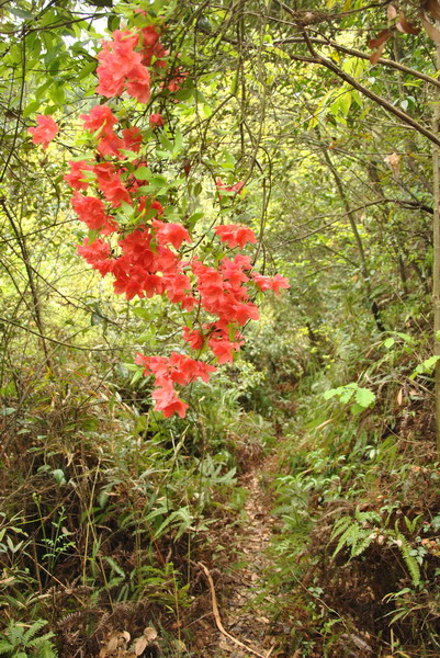 dsc_0112.jpg