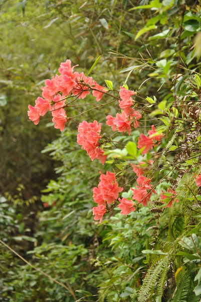 dsc_0120.jpg