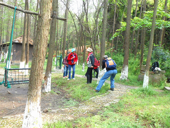 dscn0487.jpg