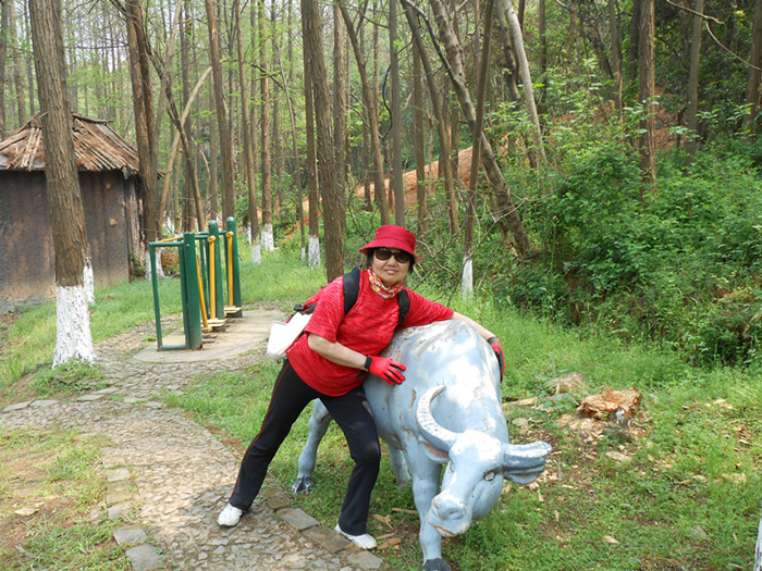 dscn0493.jpg