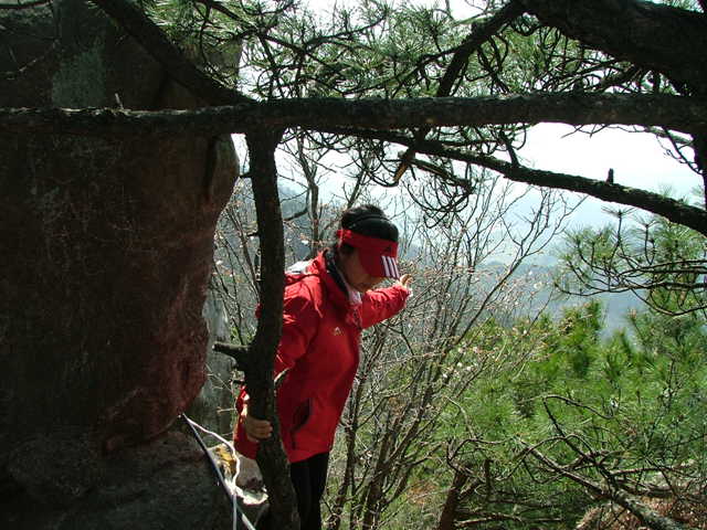 dscf7600.jpg