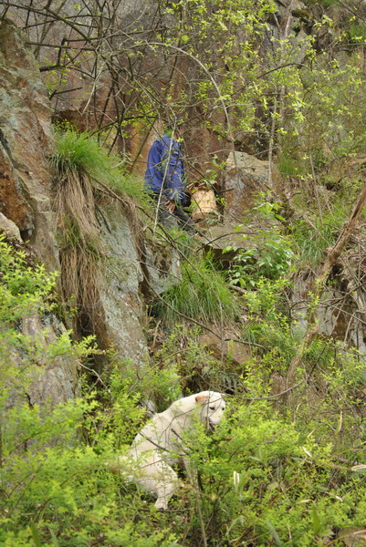 dsc_0063.jpg