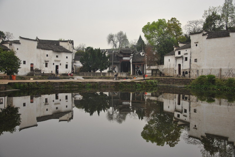 dsc_0006.jpg