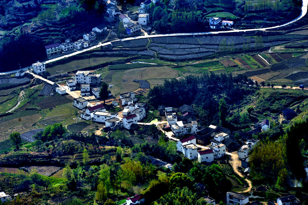 yjw_3634-1.jpg