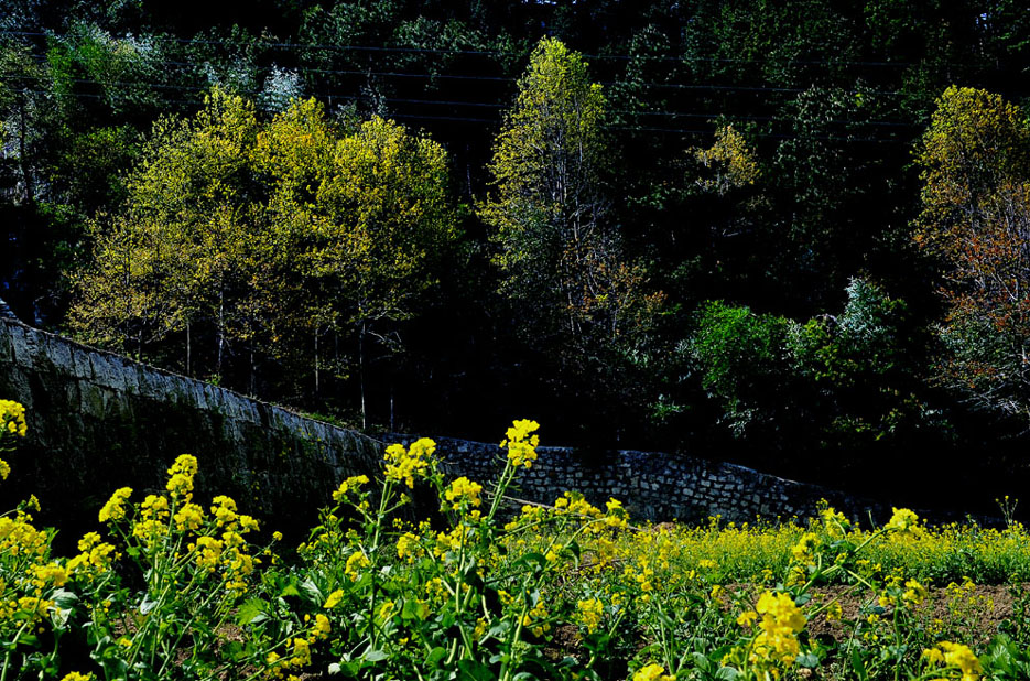 yjw_3968-1.jpg