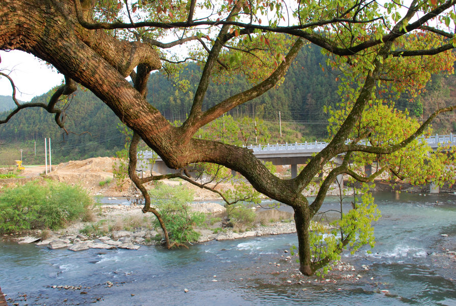 dsc_0105.jpg