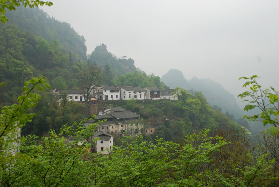 dsc_0216.jpg