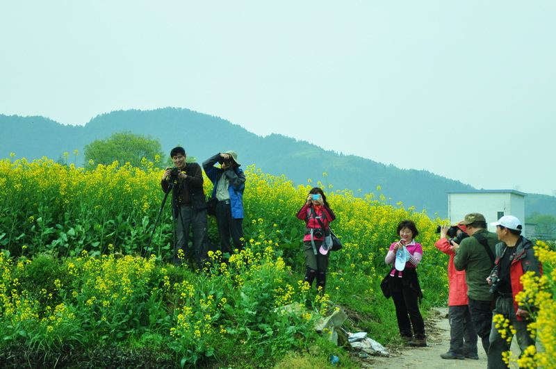 dsc_0392@.jpg