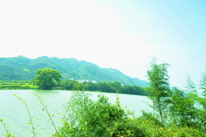 dsc_0620@.jpg