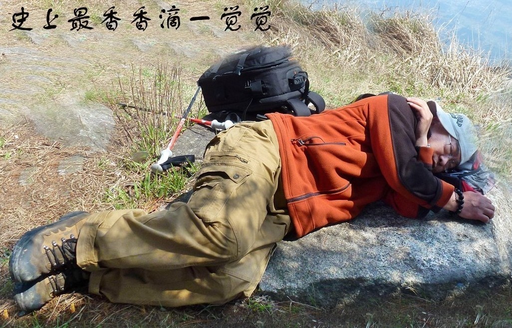 δ53.jpg