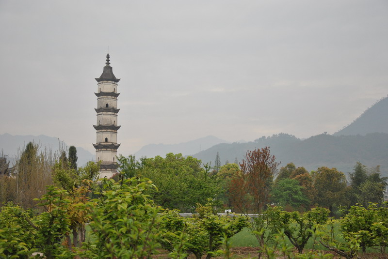 dsc_0027.jpg