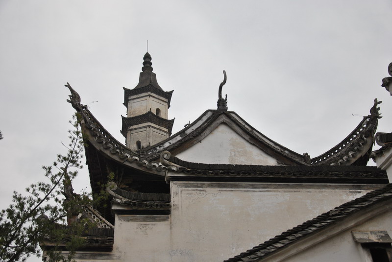 dsc_0029.jpg