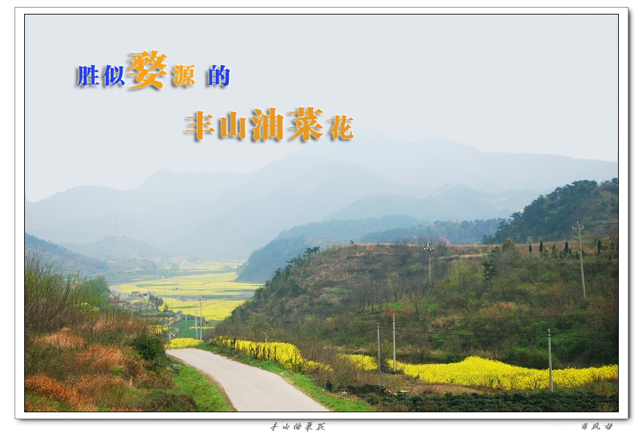 neo_img_dsc_2544_neo_img.jpg