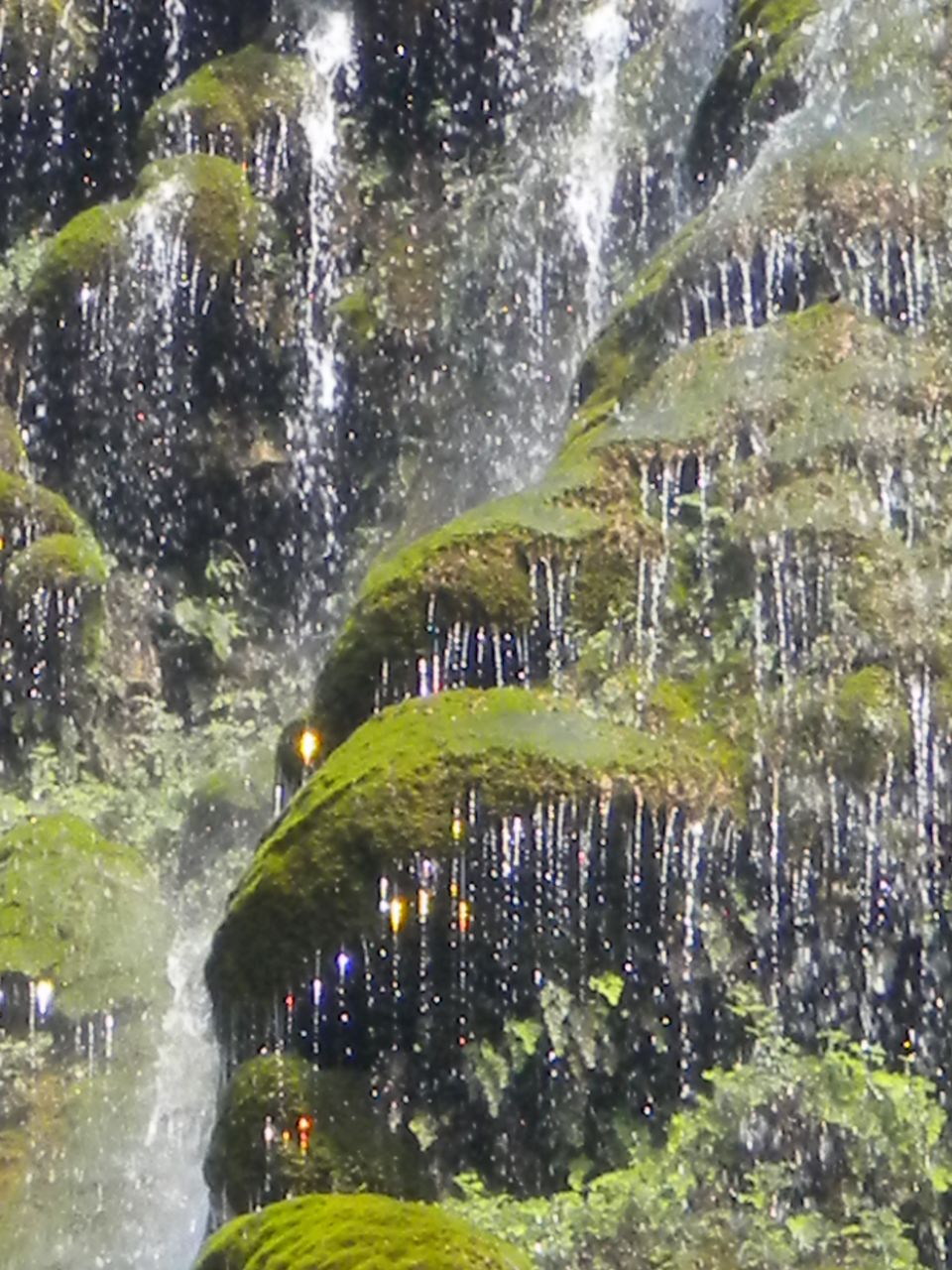 dscn1721.jpg
