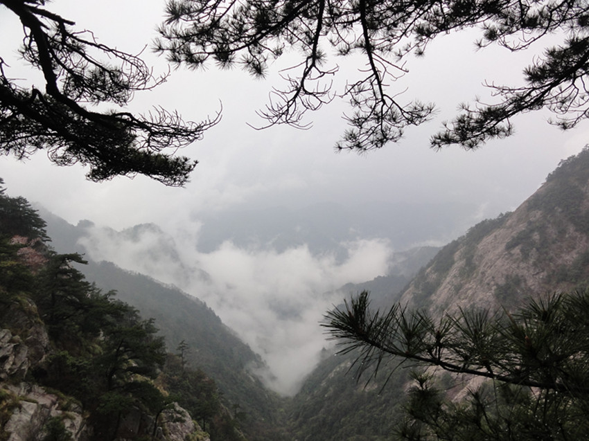 dsc02681_.jpg