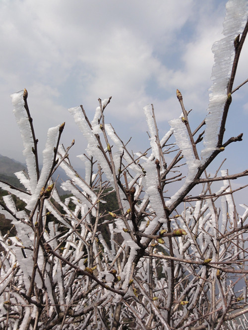 dsc02798_.jpg