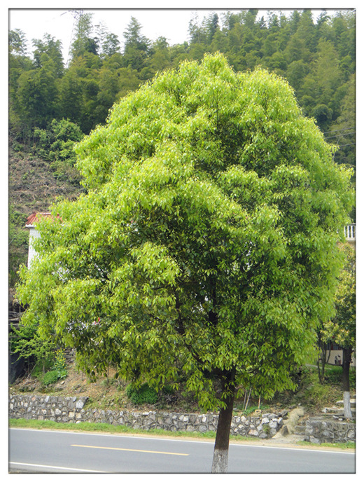 dsc09362_.jpg