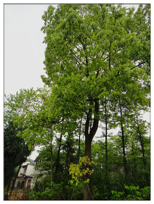 dsc09418_.jpg
