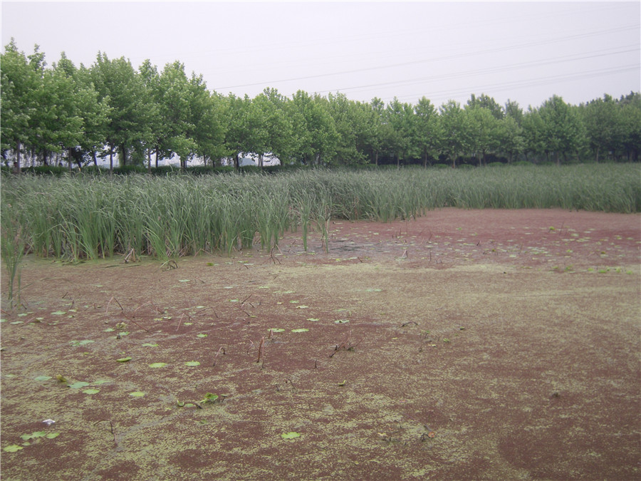 dscn1929_.jpg
