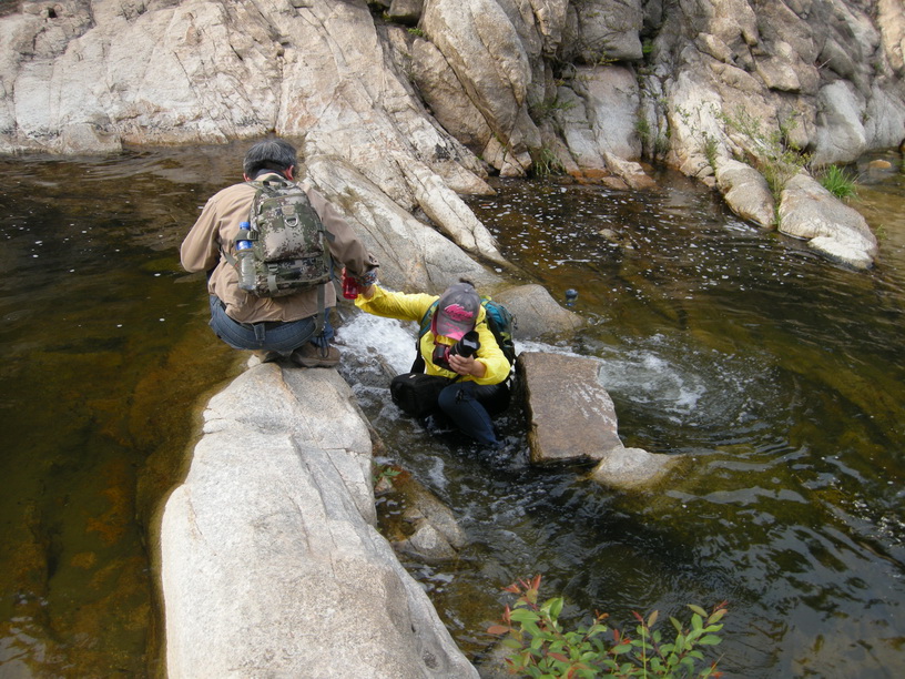 dscn8772.jpg
