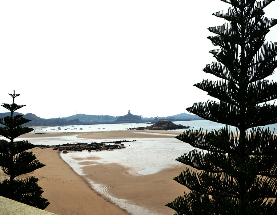 dsc_0475.jpg