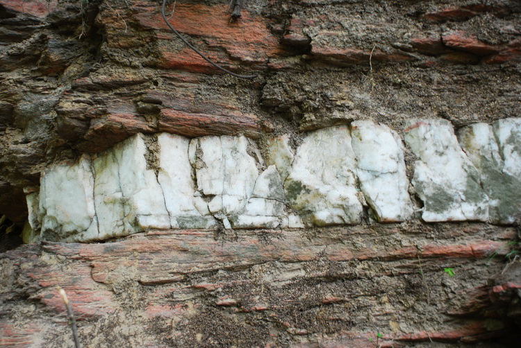 dsc_0164.jpg