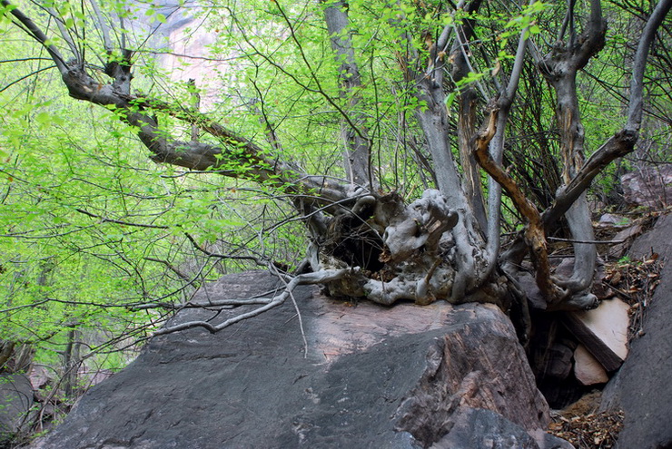 dsc_0162.jpg