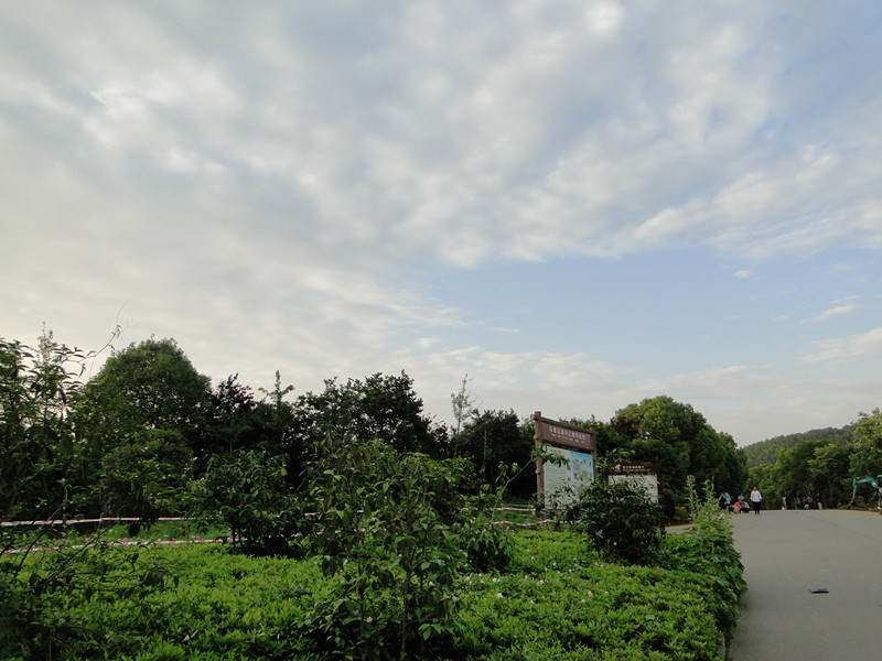 dsc08018_.jpg