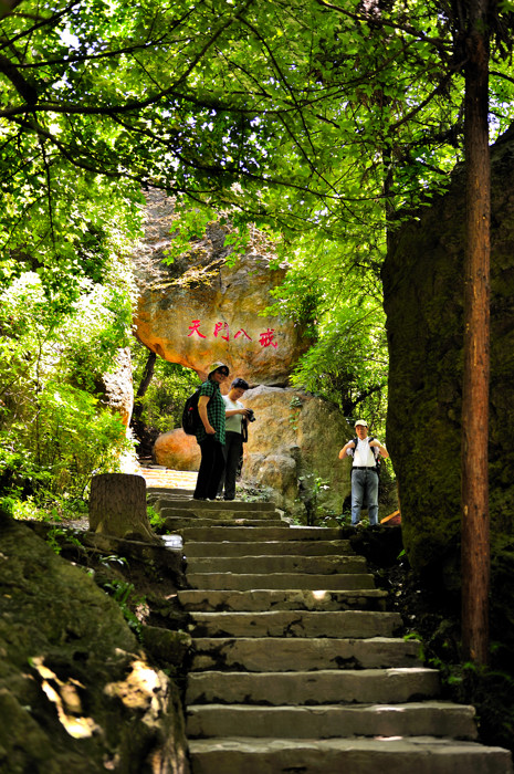 _dsc9656.jpg