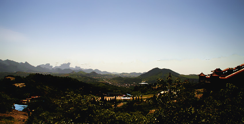 _mg_0229_.jpg
