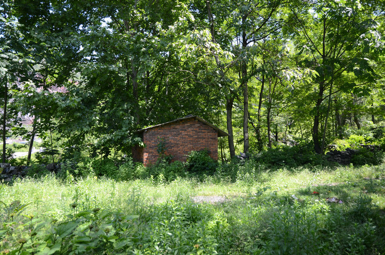 dsc_0604.jpg