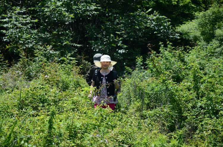 dsc_0675.jpg