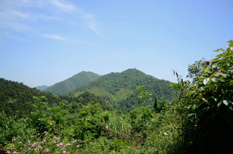 dsc_0678.jpg