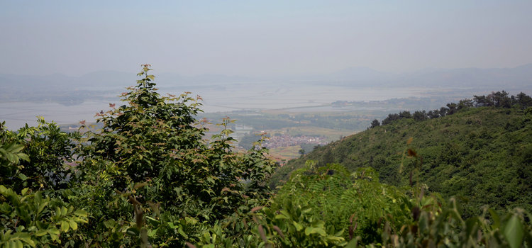 dsc_0682.jpg