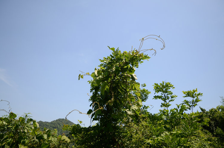 dsc_0683.jpg