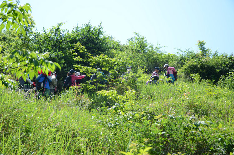 dsc_0616.jpg
