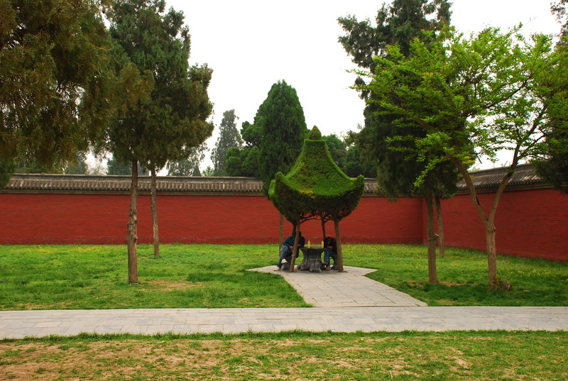 dsc_8195.jpg