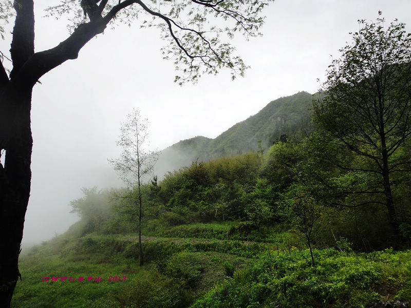 dsc09617.jpg