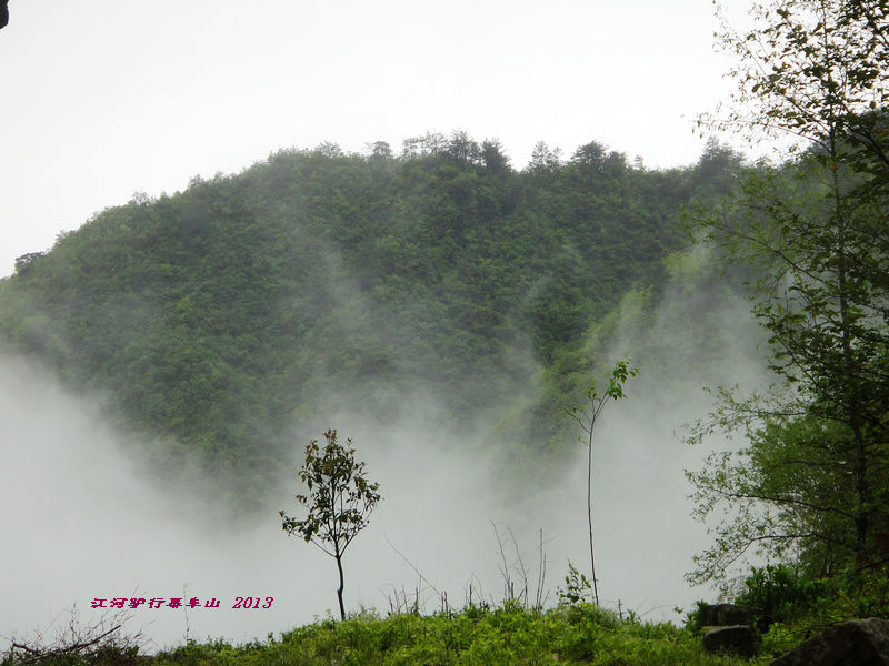 dsc09620.jpg