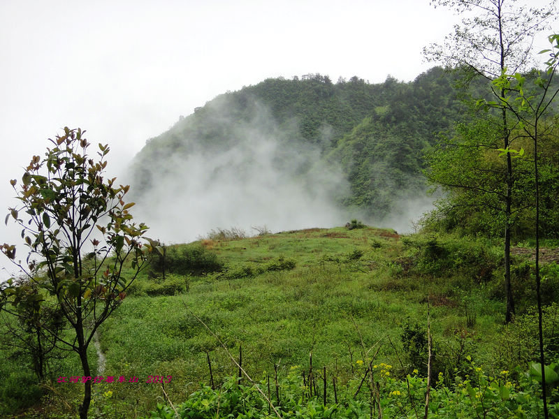 dsc09627.jpg